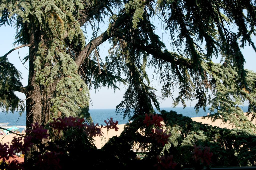 Elizabeth Dy Boutique 3* Nesebar